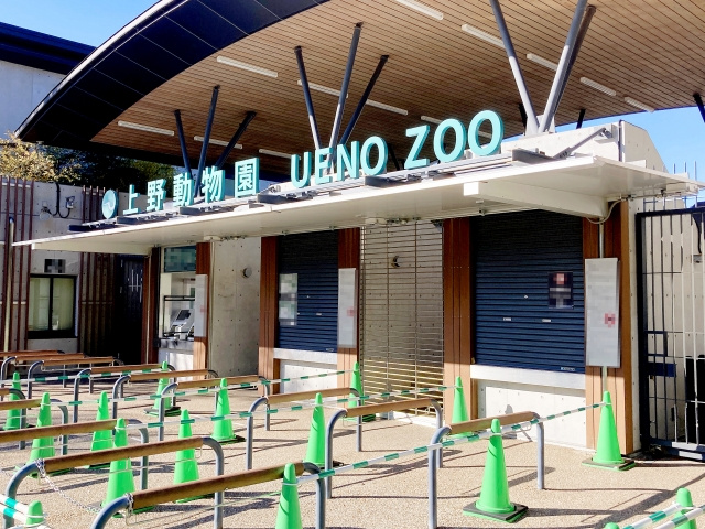 台東区にある上野動物園とは？概要や見どころをご紹介！の画像