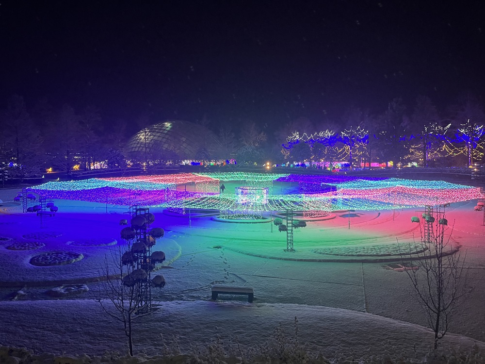 寒い雪の日も・・・の画像