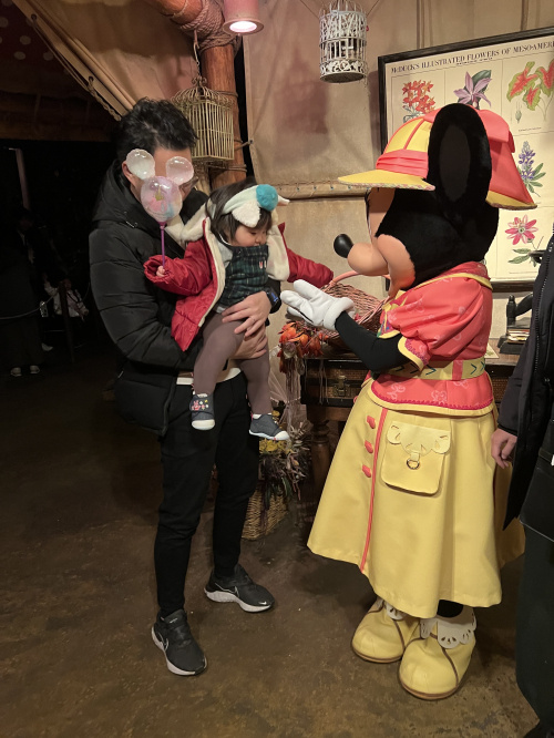 ディズニーリゾート満喫♪の画像