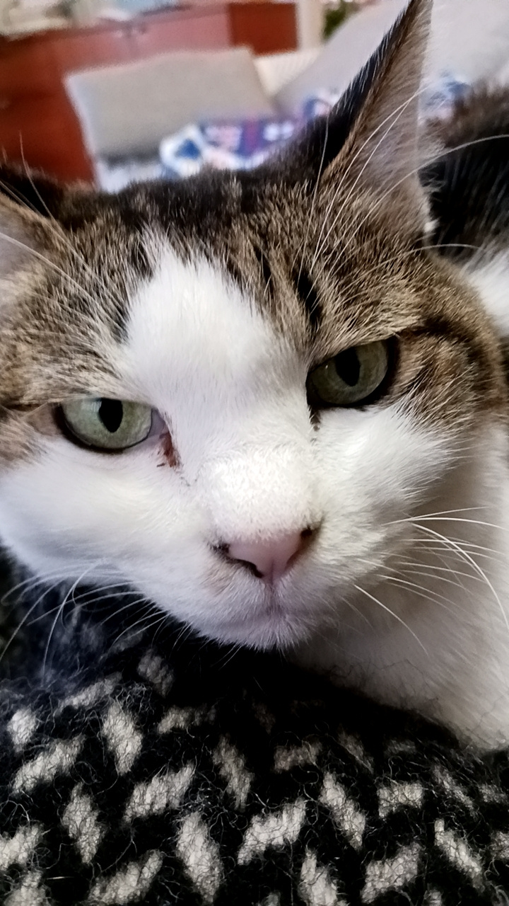 スムトコ事務サポートOのブログ『はじめましてのご挨拶』の画像