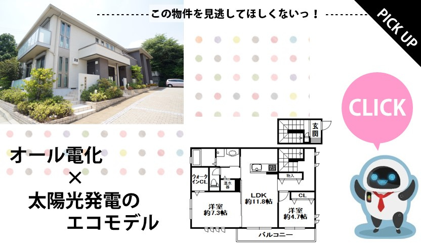PICKUPの画像