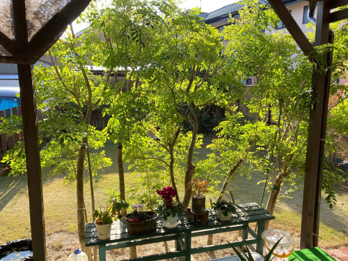 正月休みの画像