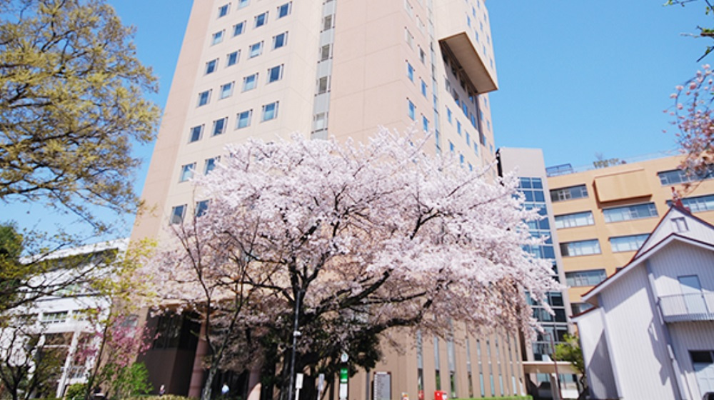 【2025年更新】日本女子大学 目白キャンパスの学生生活と物件探しの新入生向けガイドの画像