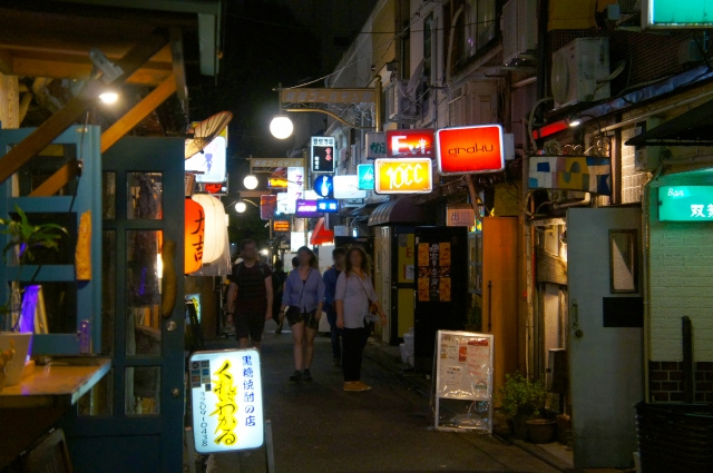 新宿駅周辺にある龍乃都飲食街 新宿東口横丁の概要