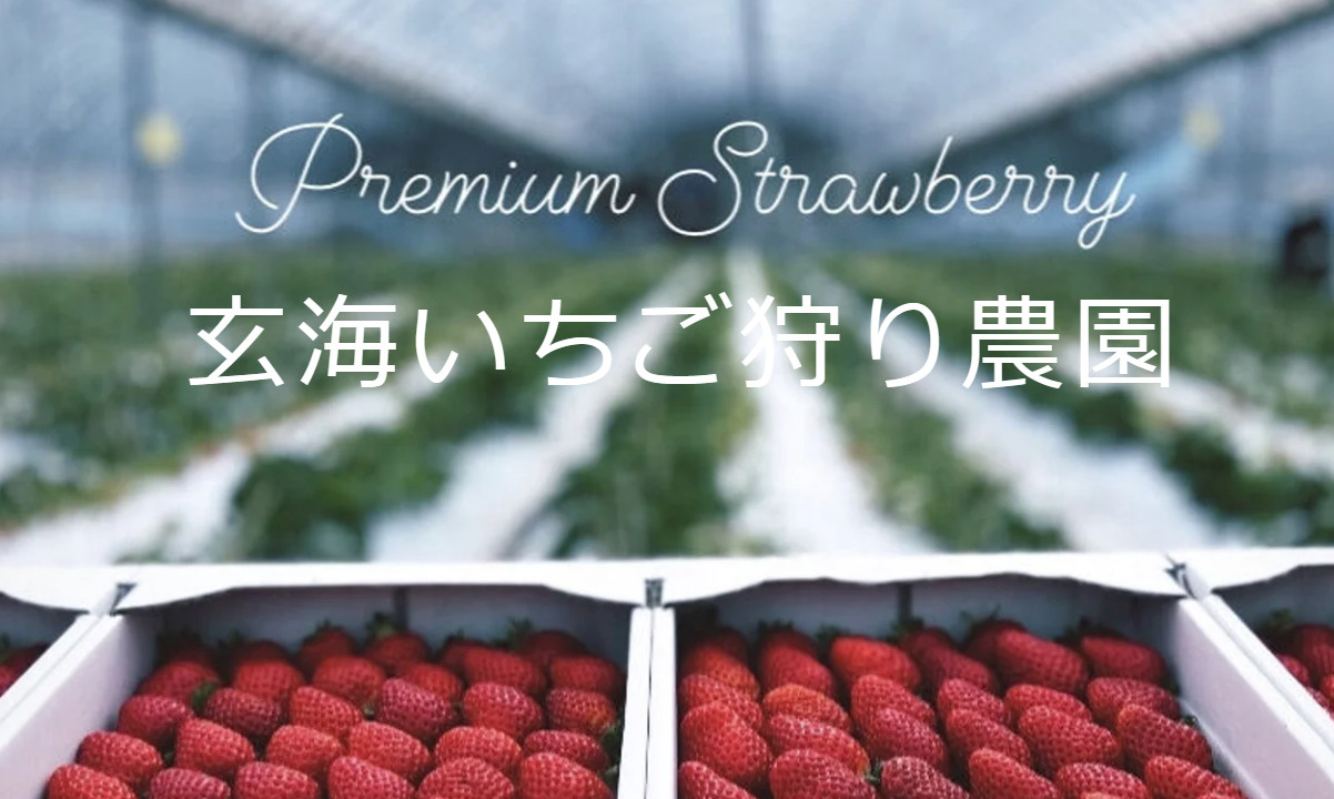 北九州市周辺のいちご狩りができるいちご農園のお知らせです。の画像