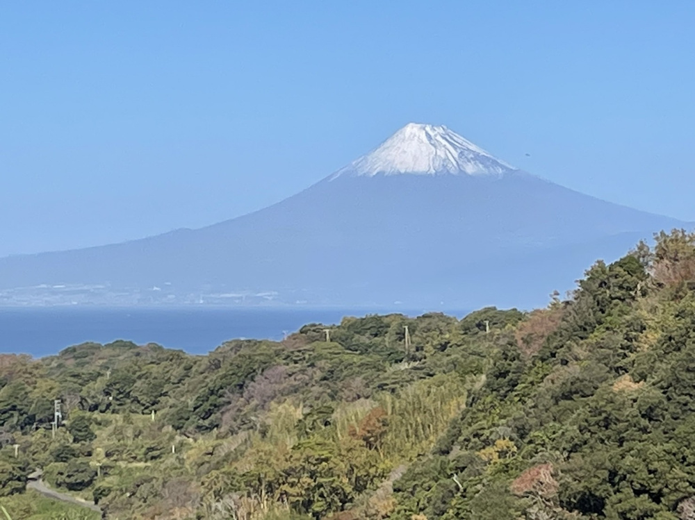 旅行☆彡③の画像