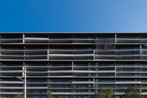 エコロジカルネットワークの画像