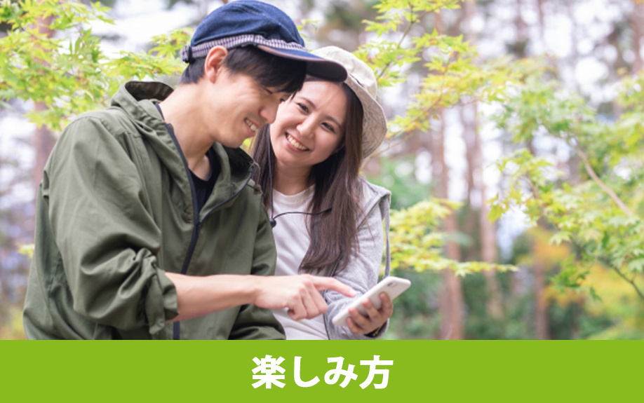 高山市の飛騨大鍾乳洞・大橋コレクション館の楽しみ方