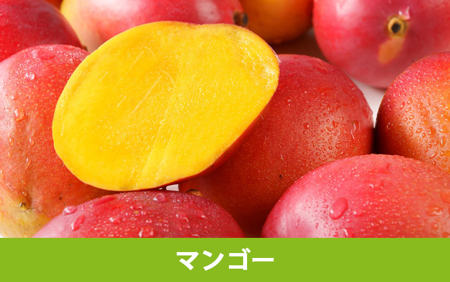 伊豆の国市の大富農園で果物狩り③マンゴー