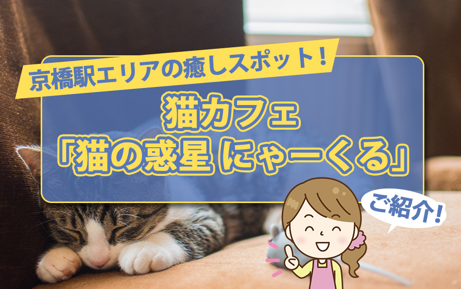 京橋駅エリアの癒しスポット！猫カフェ「猫の惑星 にゃーくる」をご紹介の画像