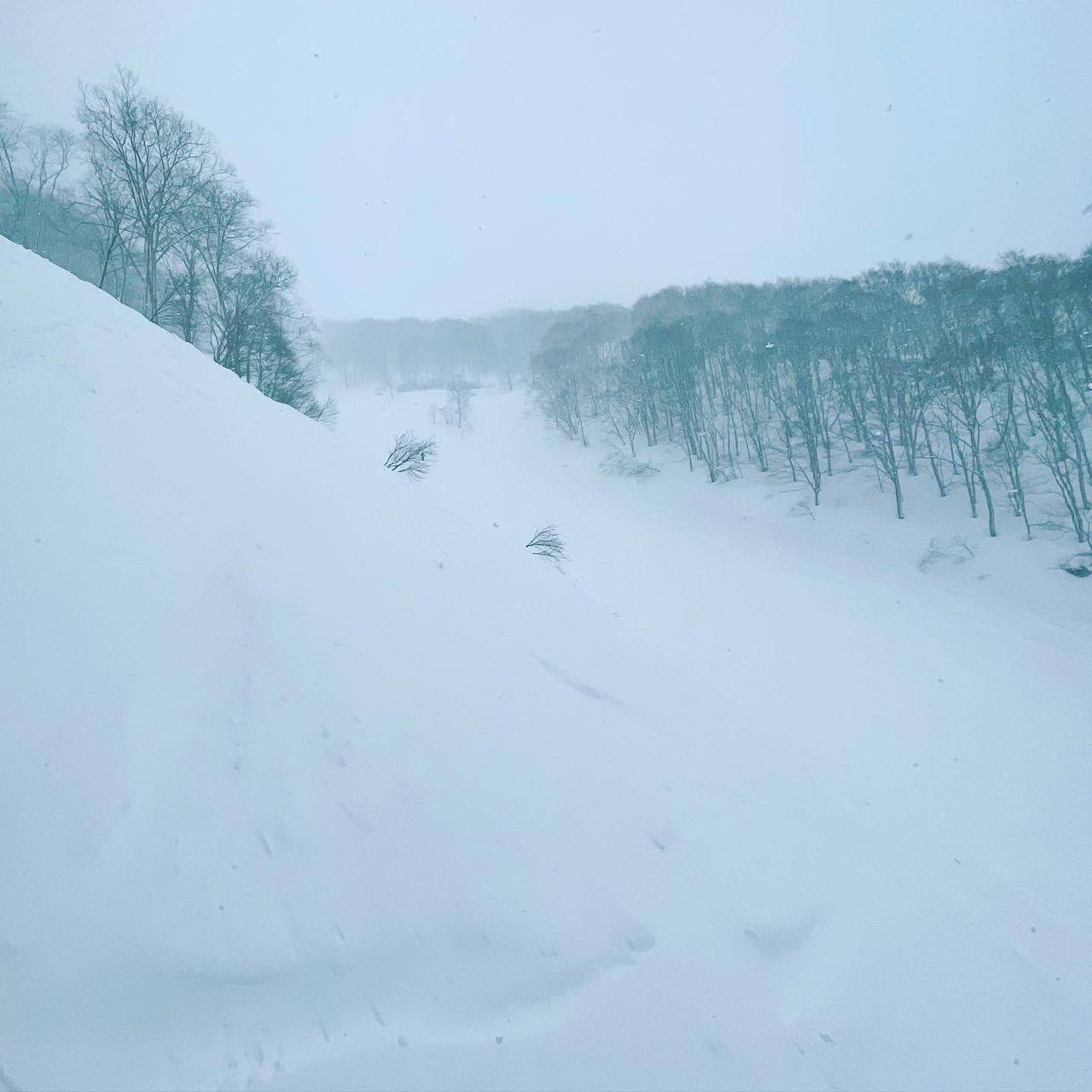 ウィンタースポーツ///の画像