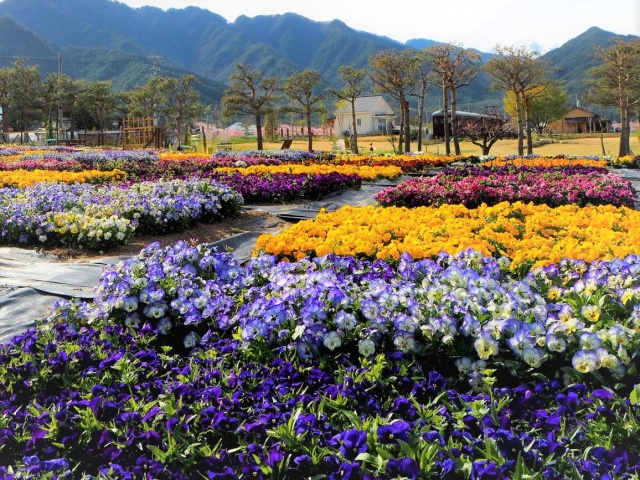 松川村「安曇野ちひろ公園」の概要とは？美術館の楽しみ方もご紹介の画像