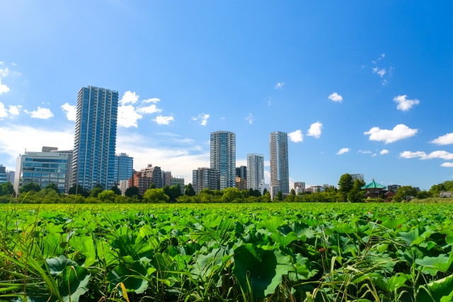 マンション売却の流れと売却する時の注意点をご紹介！の画像