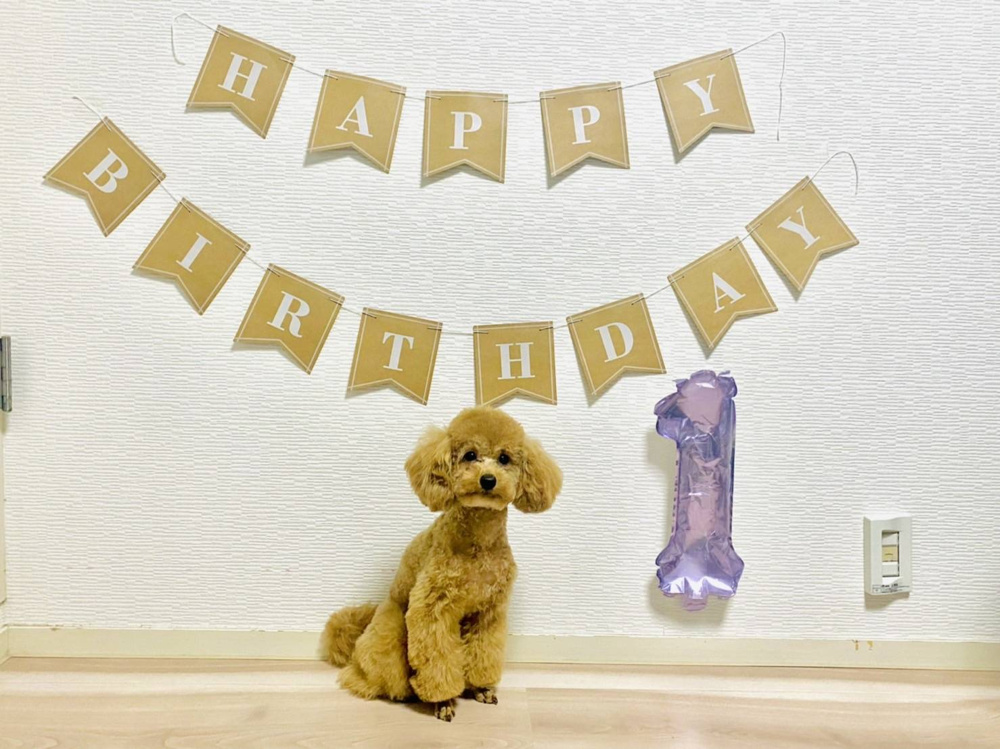 スキー＆コロッケBIRTHDAYの画像