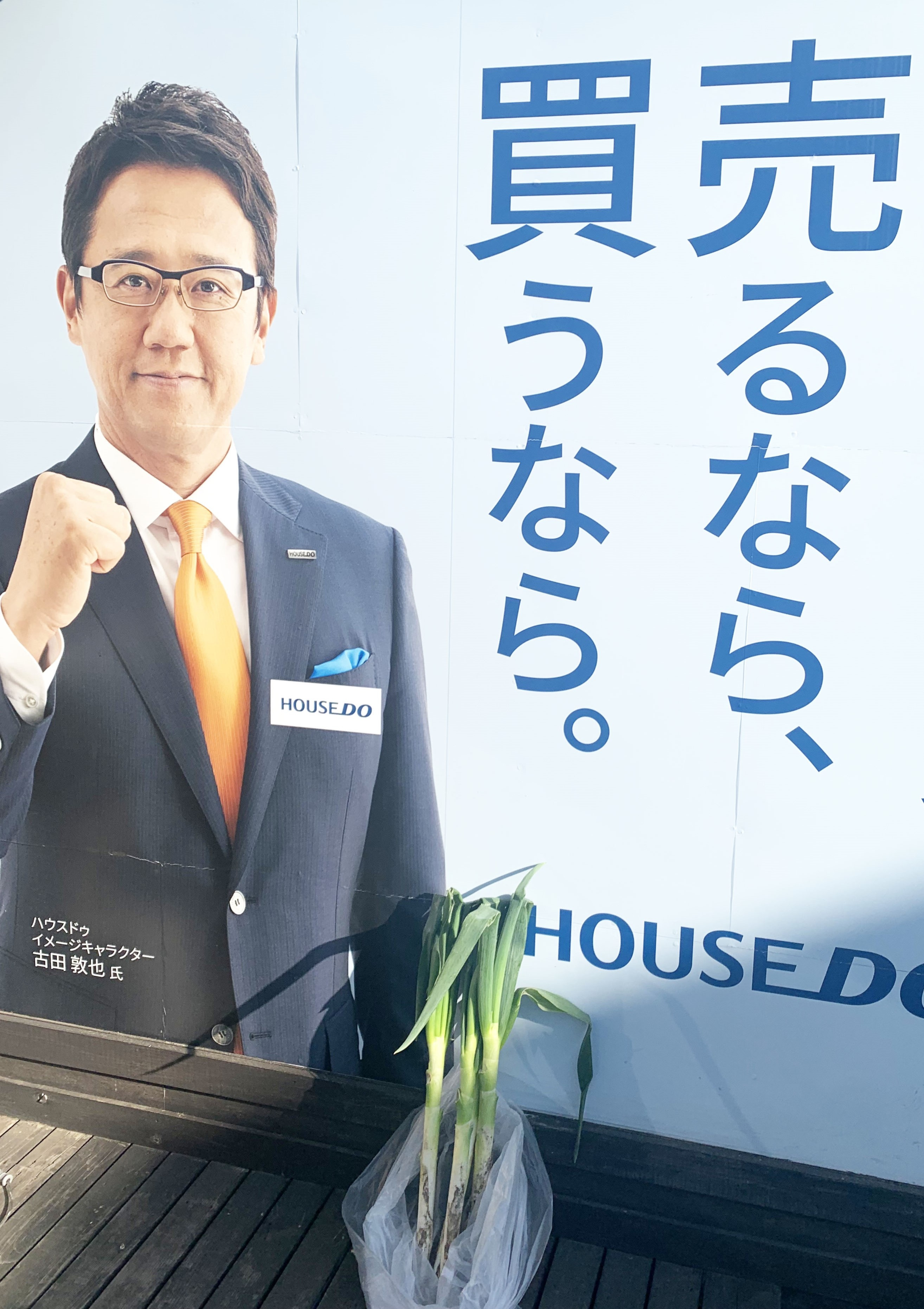 ☆松戸市矢切地区の特産品！！の画像