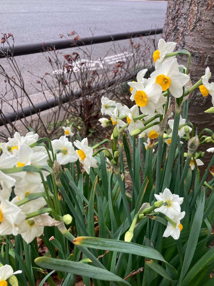 まだまだいたかった・・・の画像