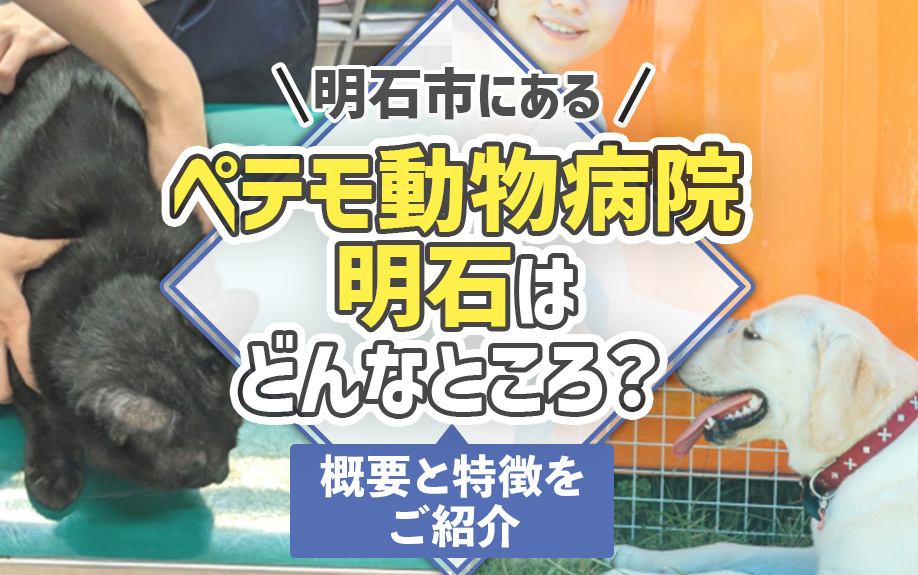 明石市にある「ペテモ動物病院 明石」はどんなところ？概要と特徴をご紹介