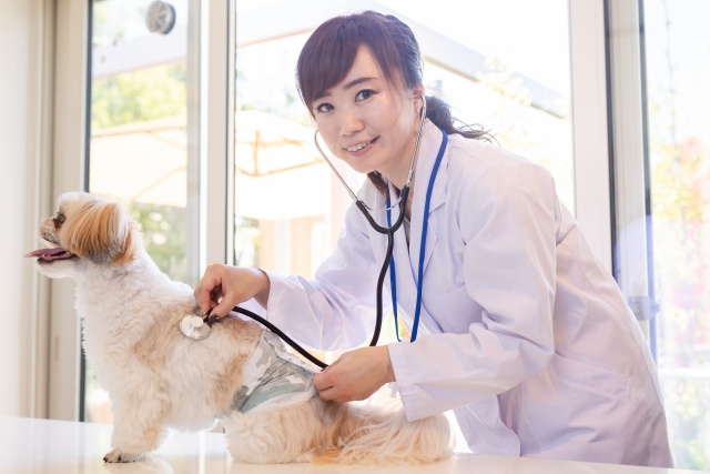 「ペテモ動物病院 明石」の特徴