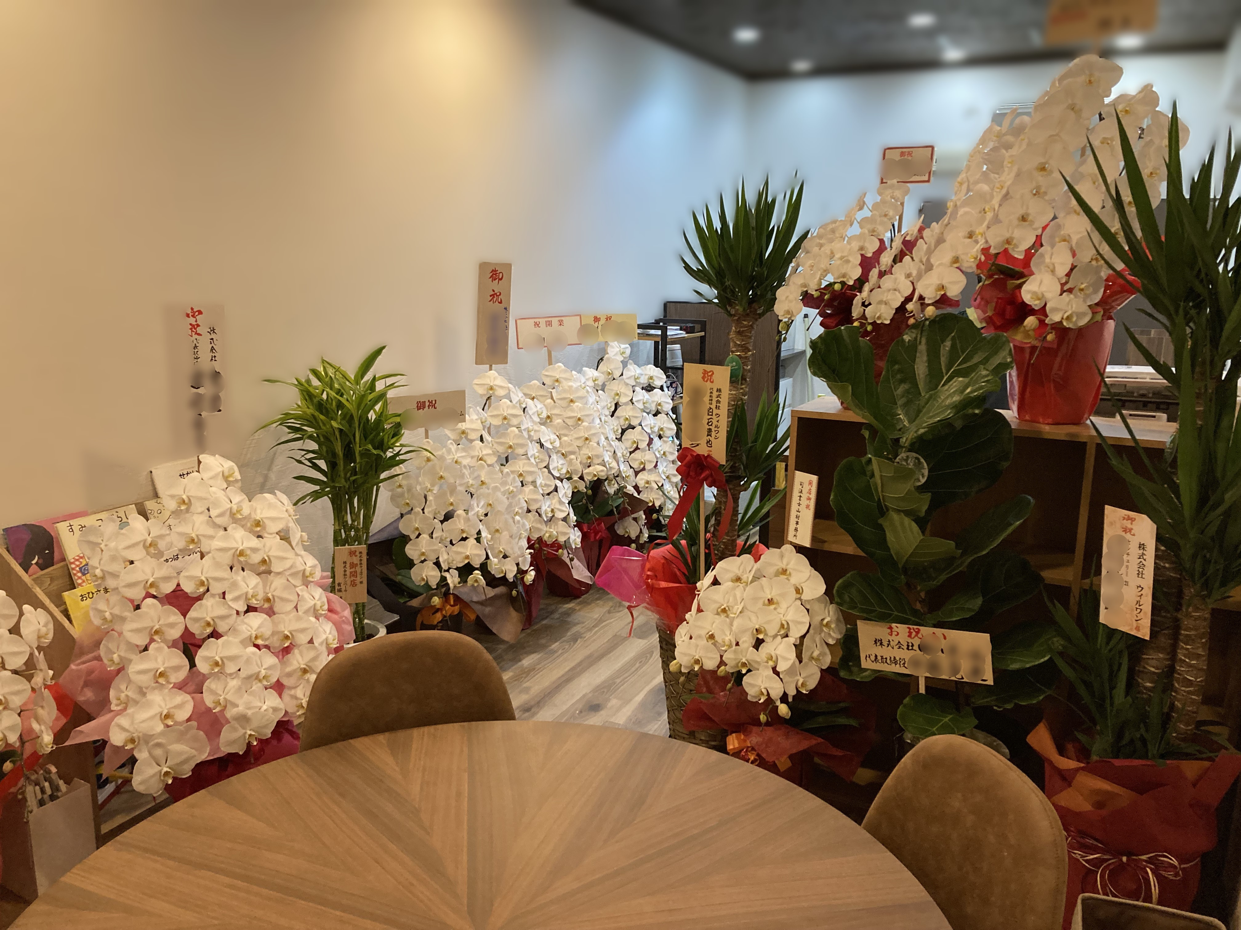 ウィルワンホームオープンしました！の画像