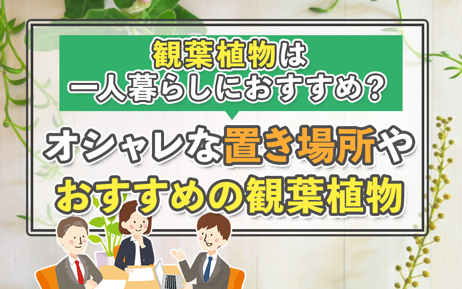 観葉植物は一人暮らしにおすすめ？オシャレな置き場所やおすすめの観葉植物