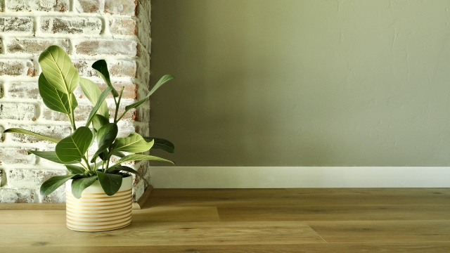 オシャレな観葉植物の置き場所とは