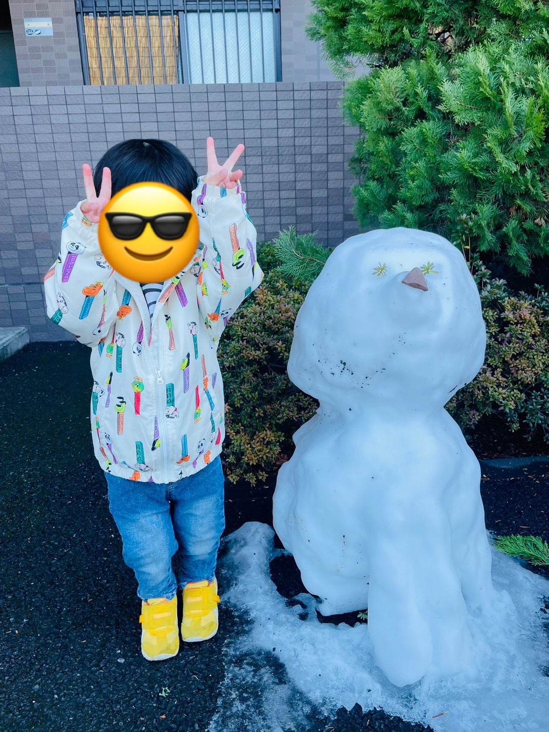 はやいねの画像