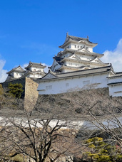 大先輩への感謝の画像