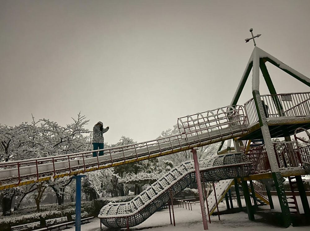 雪！の画像
