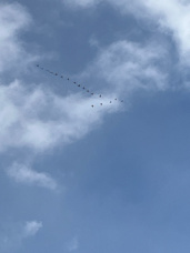 ラッシュの画像