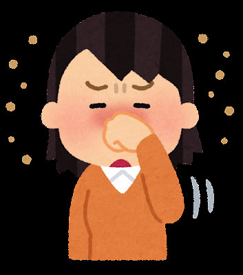 賃貸でも出来る花粉対策～名古屋 My賃貸～の画像