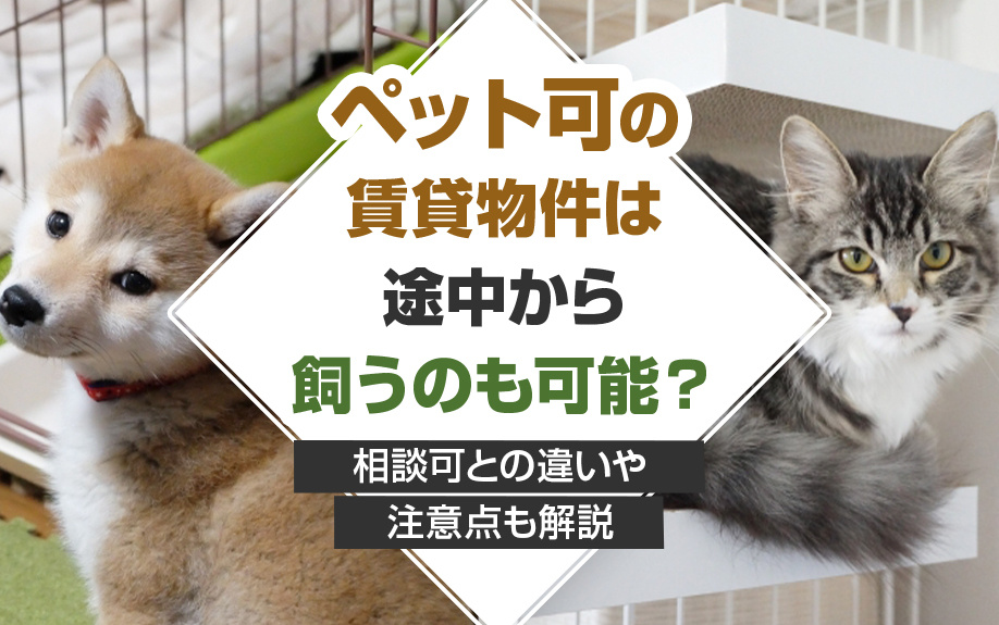 ペット可の賃貸物件は途中から飼うのも可能？相談可との違いや注意点も解説