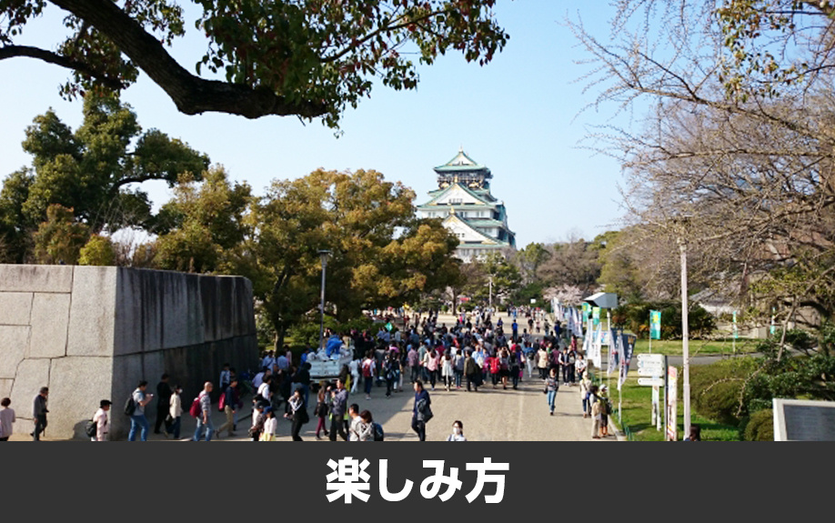 熊本市中央区にある「熊本城」の楽しみ方