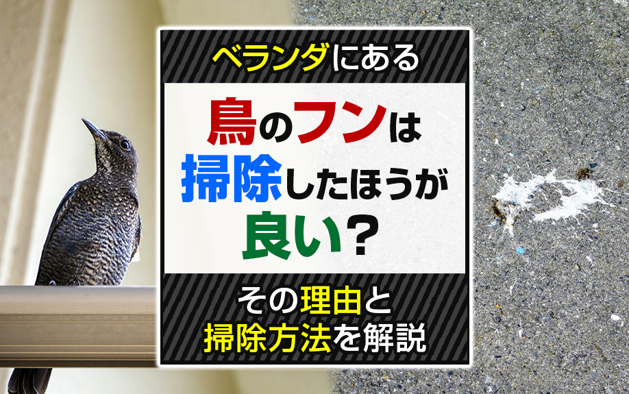 ベランダにある鳥のフンは掃除したほうが良い？その理由と掃除方法を解説
