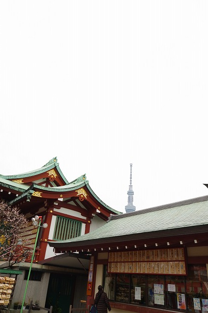 亀戸といえば亀戸天神の画像