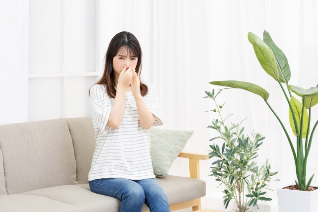 賃貸物件のにおいの原因とは？チェックポイントと対策方法も解説の画像