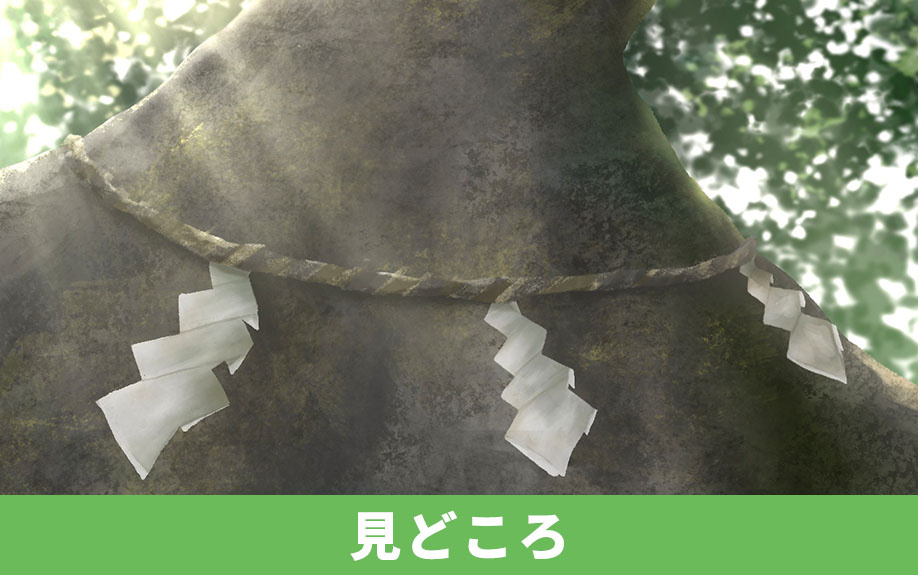 神奈川県綾瀬市にある「五社神社」の見どころ
