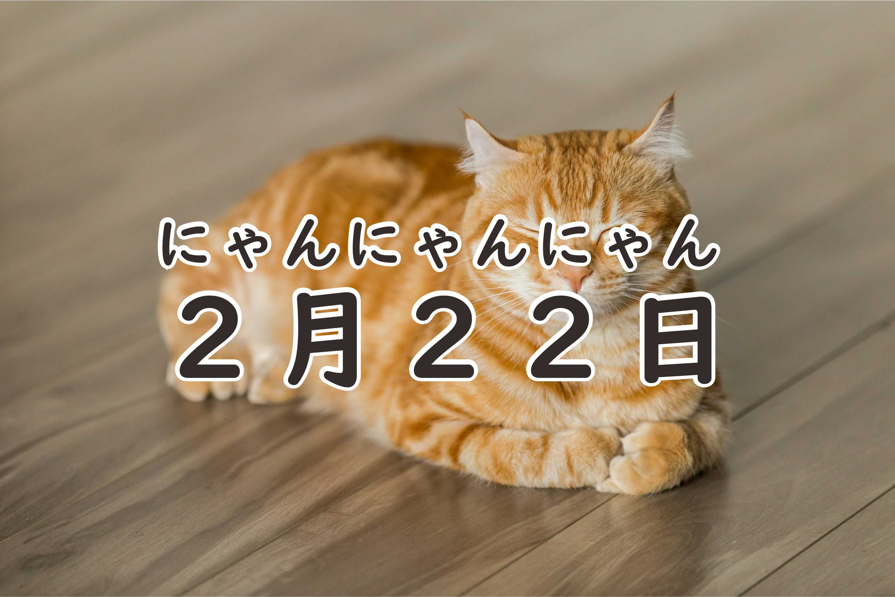 ２月２２日：ネコの日の画像