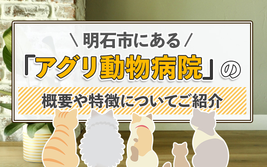 明石市にある「アグリ動物病院」の概要や特徴についてご紹介