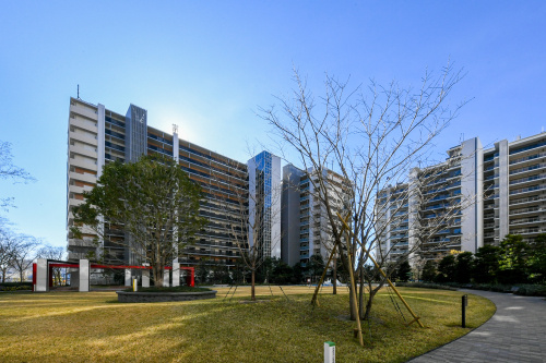 利便性と安全性を両立した駐車場の画像