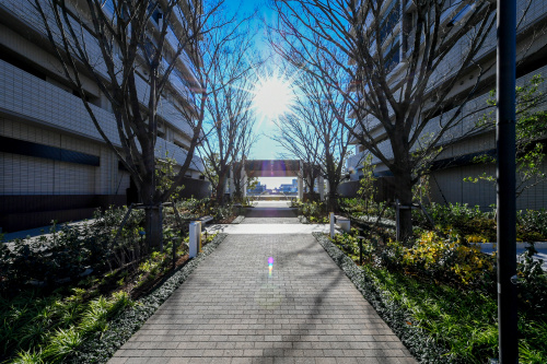 街路空間と広場の画像