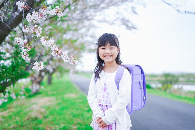 京都市伏見区にある「京都市立向島藤の木小学校」とは？概要と特徴をご紹介