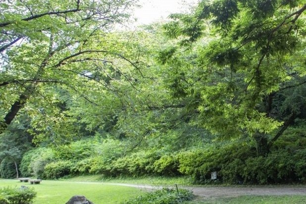 【自然豊かな日の出山！周辺のハイキングコース・散策コースをご紹介】の画像