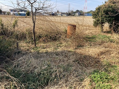 ３月４日：爪田ケ谷キャンプ場６の画像