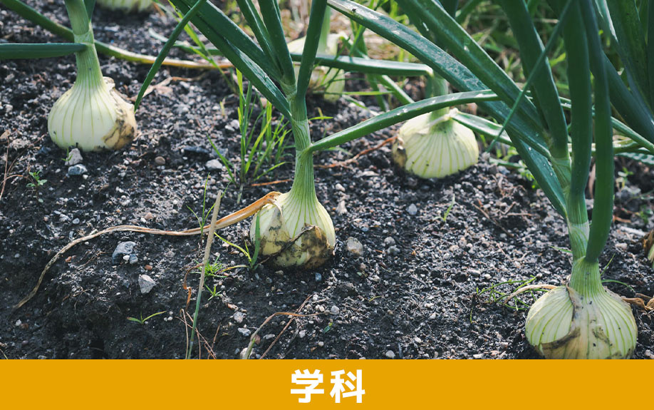 諫早市にある長崎県立諫早農業高等学校の学科