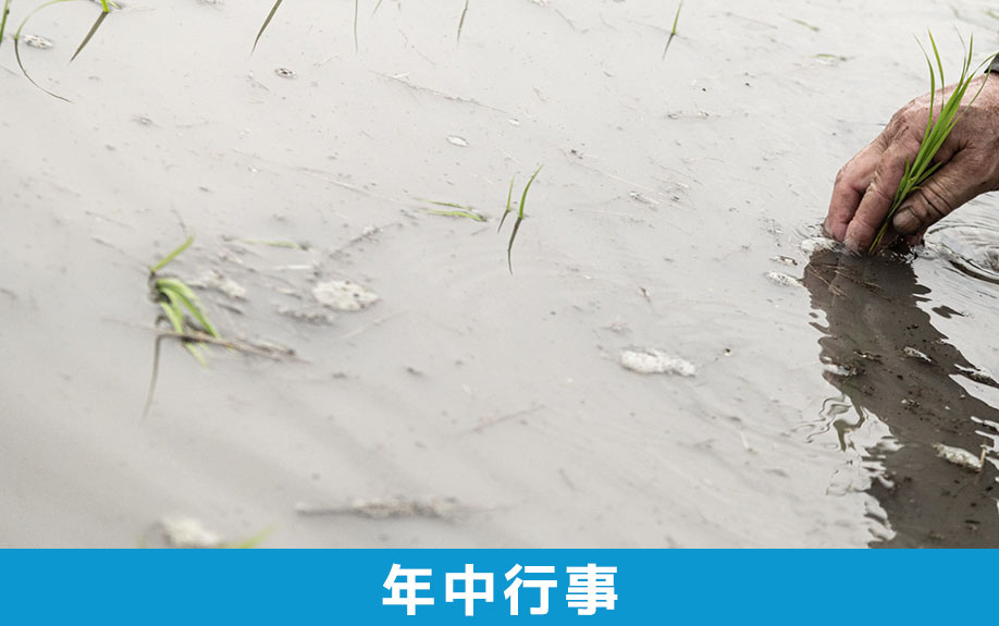 大阪市にある住吉大社の年中行事