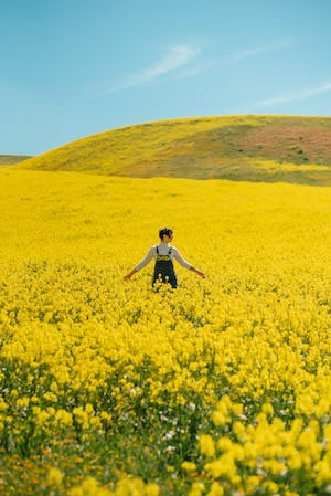 土地の購入で注意したい「袋地（無道路地）」とは？の画像