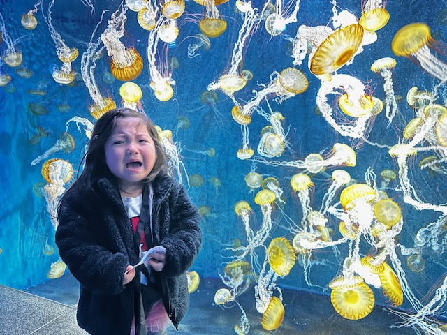 今年が始まり、早3か月目(*_*;の画像