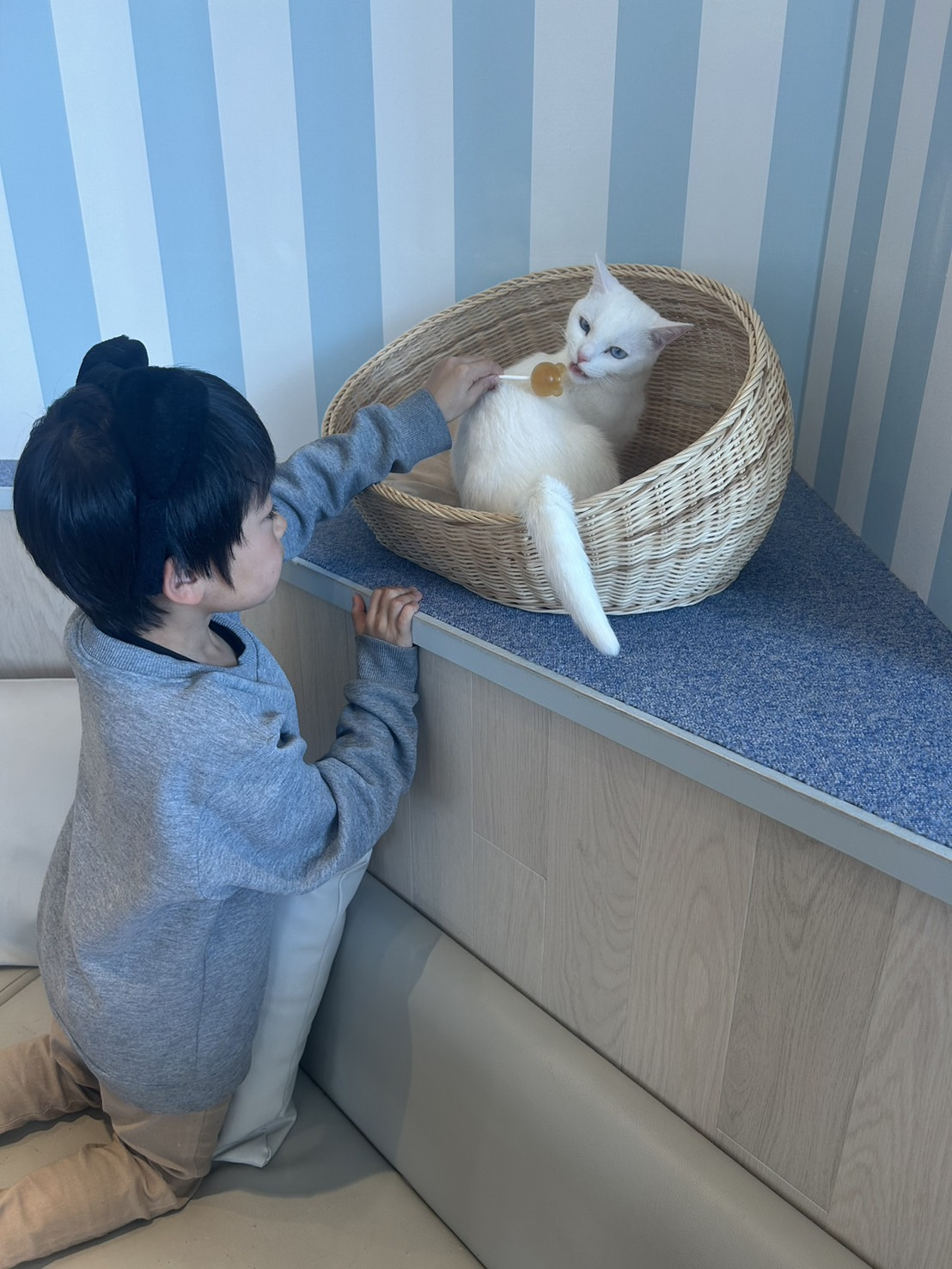 次男の押し活=^_^=の画像