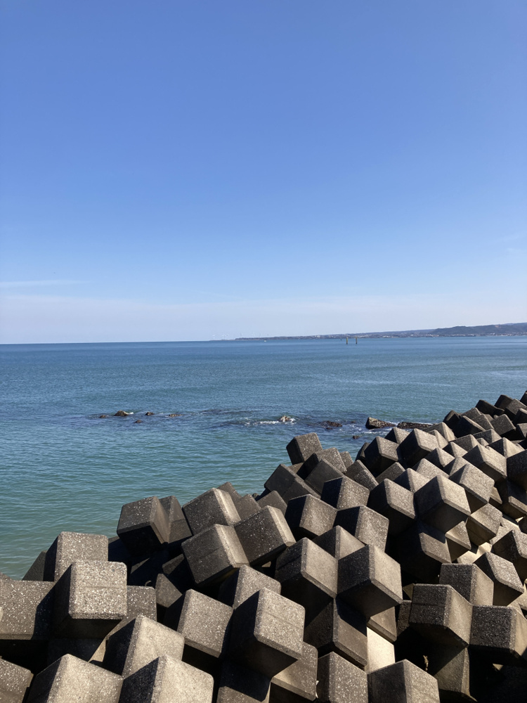 春の訪れの画像