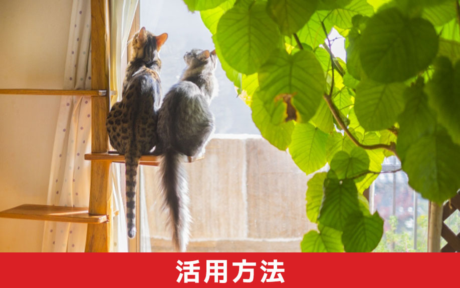 リノベーションで抜けない柱の活用方法とは？